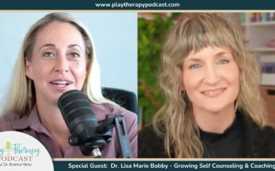 Supporting Parents Through Divorce: A Conversation with Dr. Lisa Marie Bobby